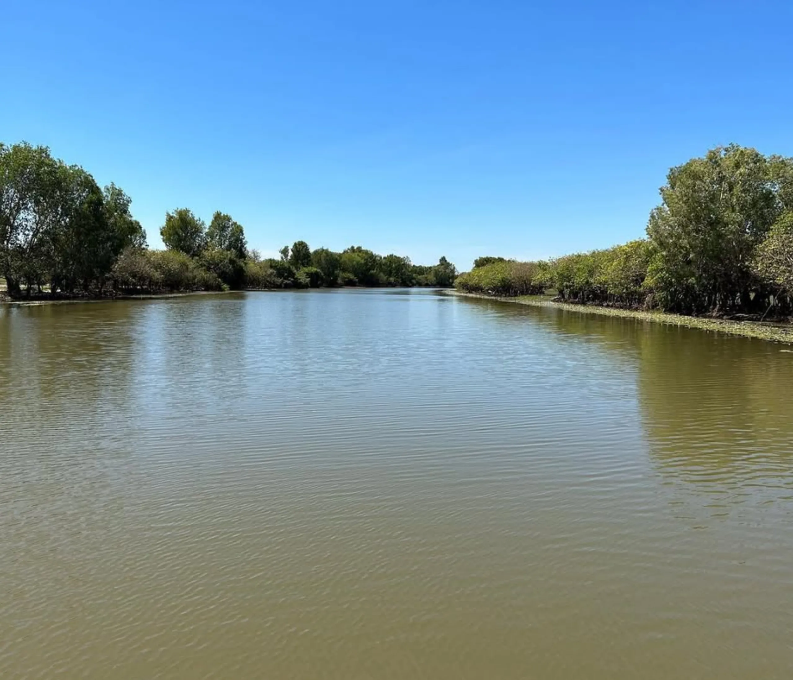 Calm Waters, Billabong