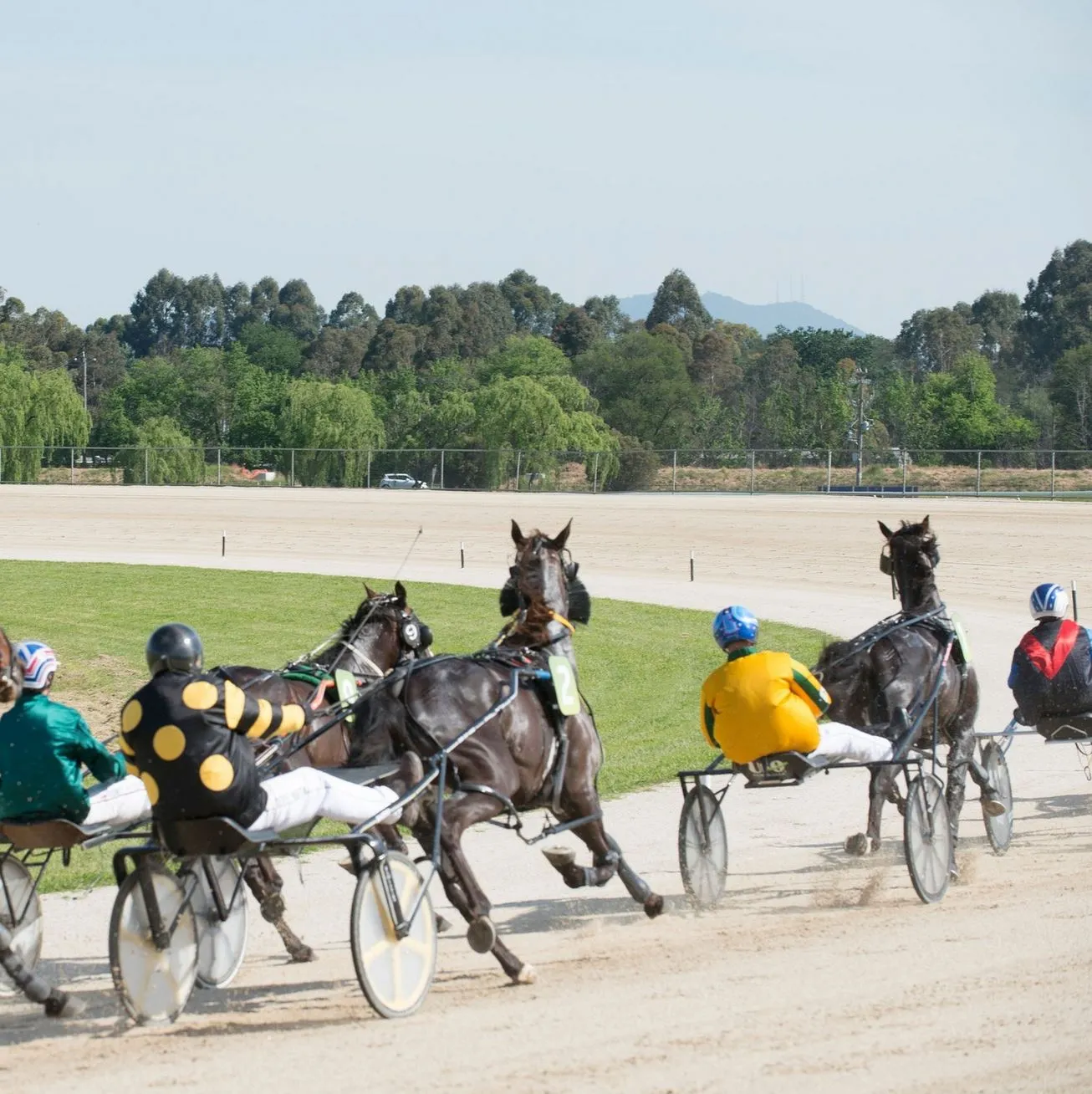 Yarra Valley Cup and Key Racing Days