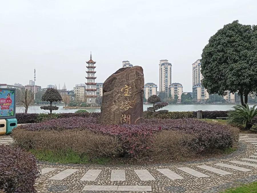 China Trans Online Travel — up close