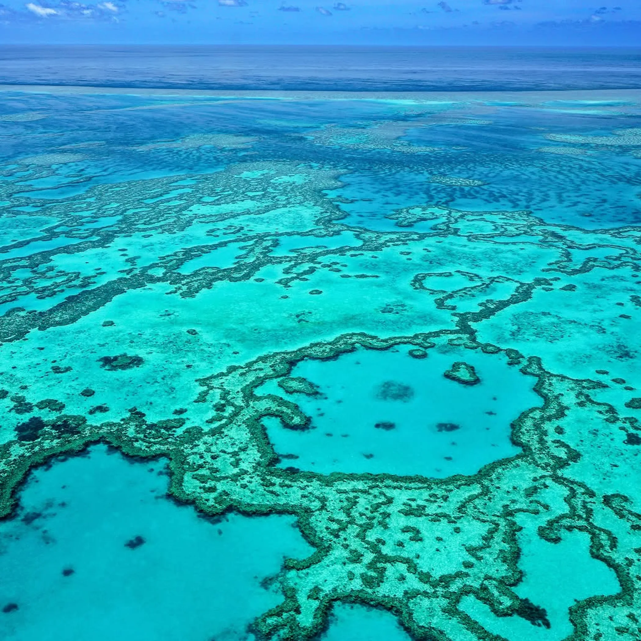 clear underwater coral reef scene