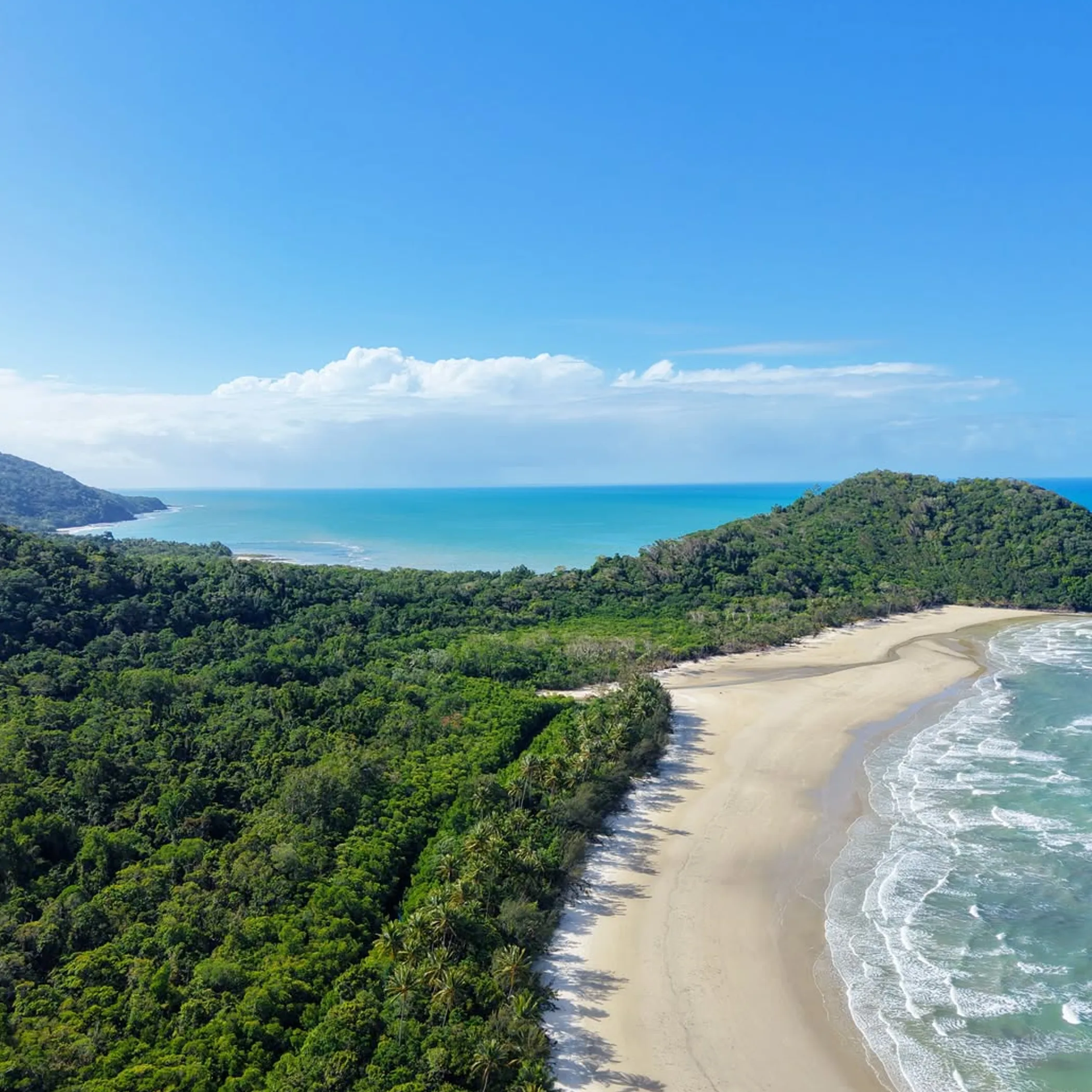 beach and forest near great barrier reef