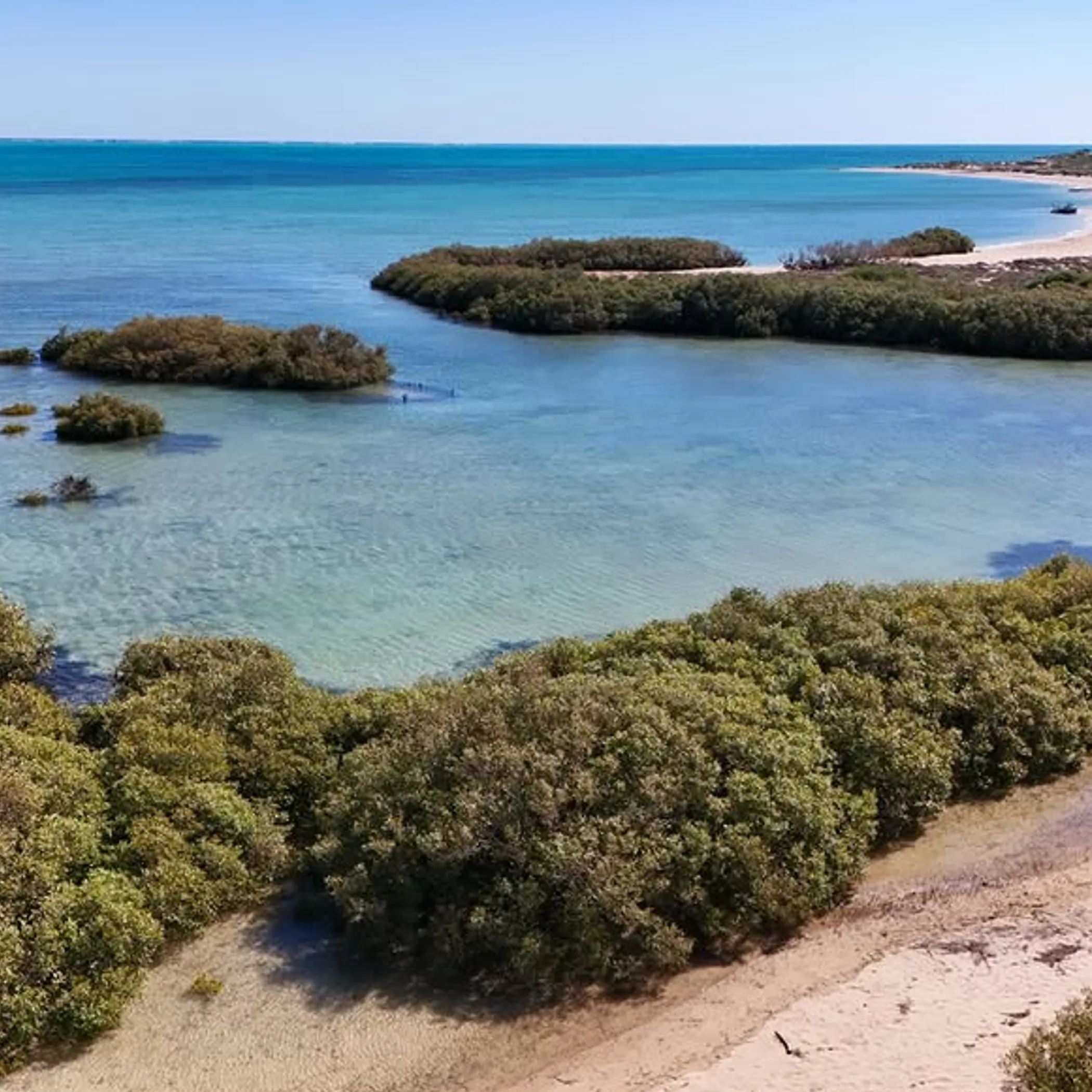 reef with mangroves in western australia